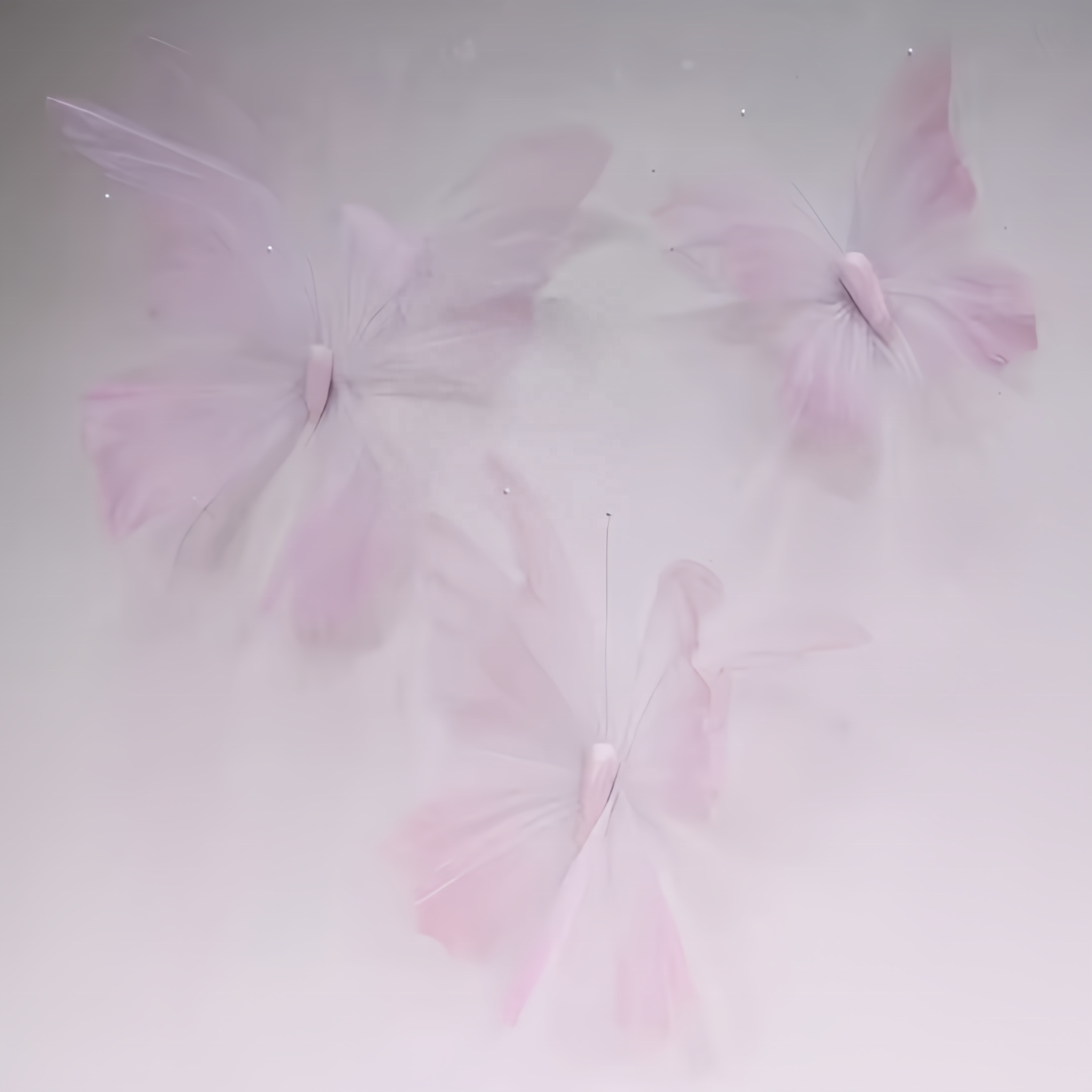Hot Sale Luxury Party Decorative Butterfly Wings Background Wedding Hall Props Artificial Flowers