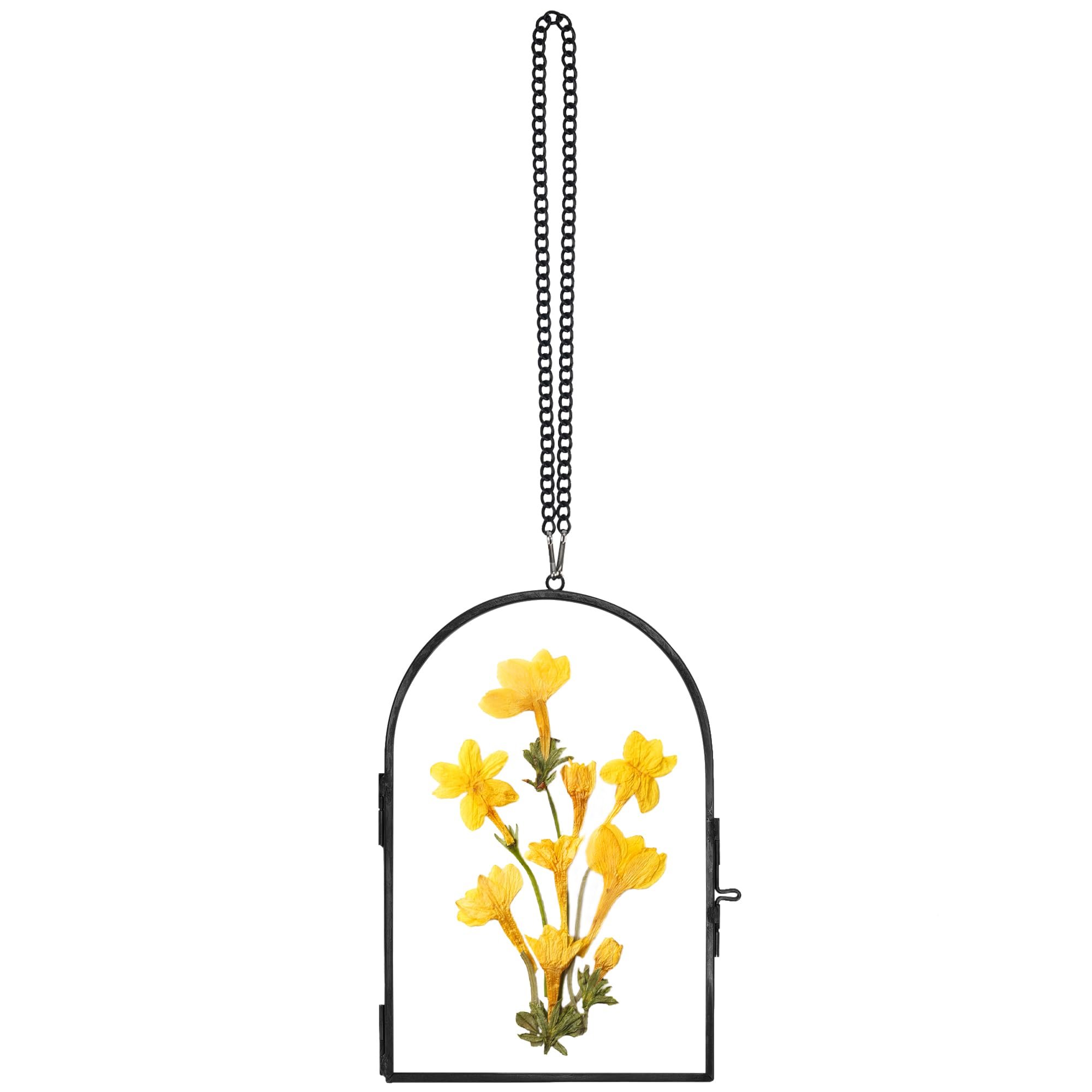 Customizable Size And Shape Double Sides Hanging Glass Frame For Pressed Dried Flowers Plants Or Holding Pictures Wall Decor