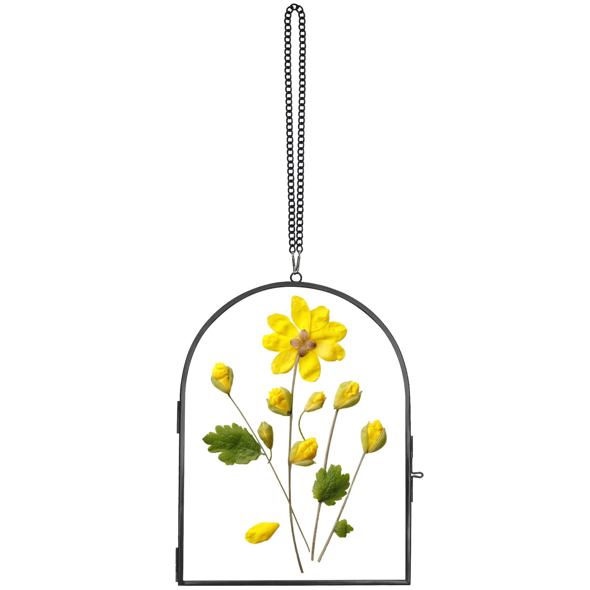 Customizable Size And Shape Double Sides Hanging Glass Frame For Pressed Dried Flowers Plants Or Holding Pictures Wall Decor