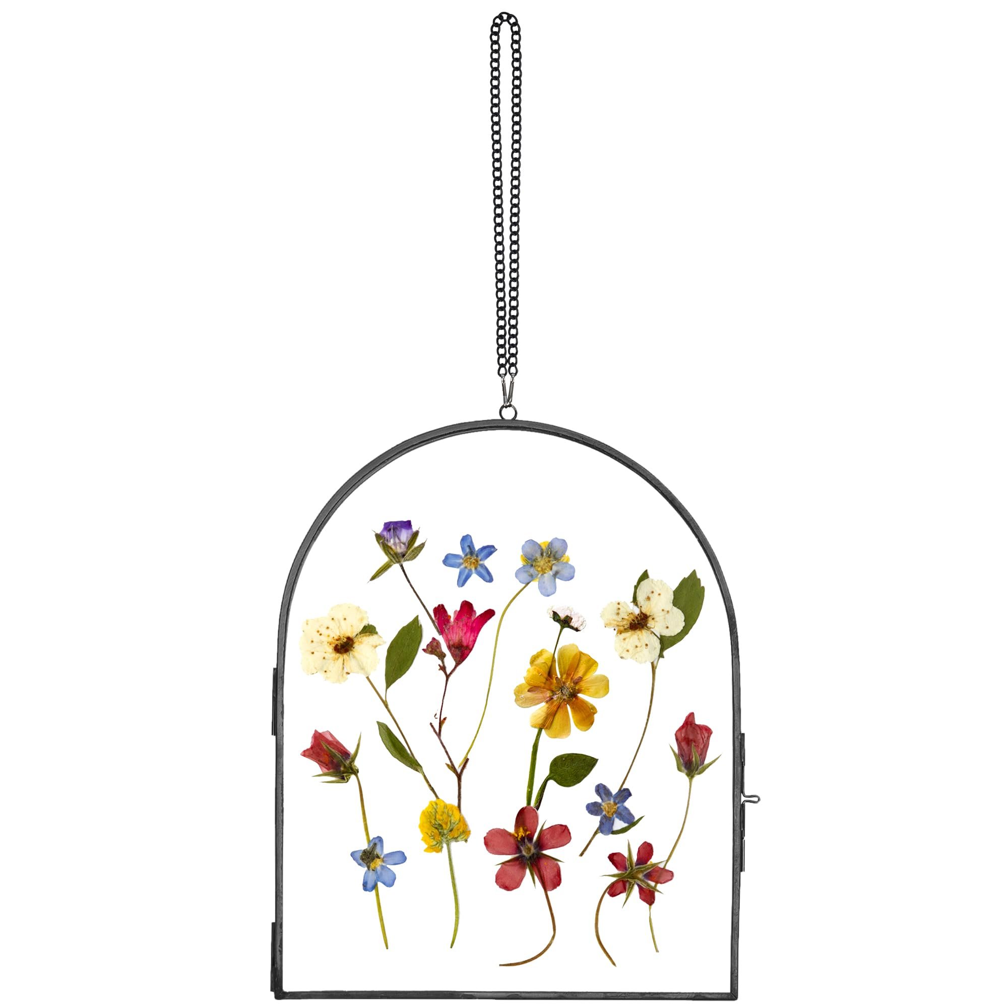 Customizable Size And Shape Double Sides Hanging Glass Frame For Pressed Dried Flowers Plants Or Holding Pictures Wall Decor