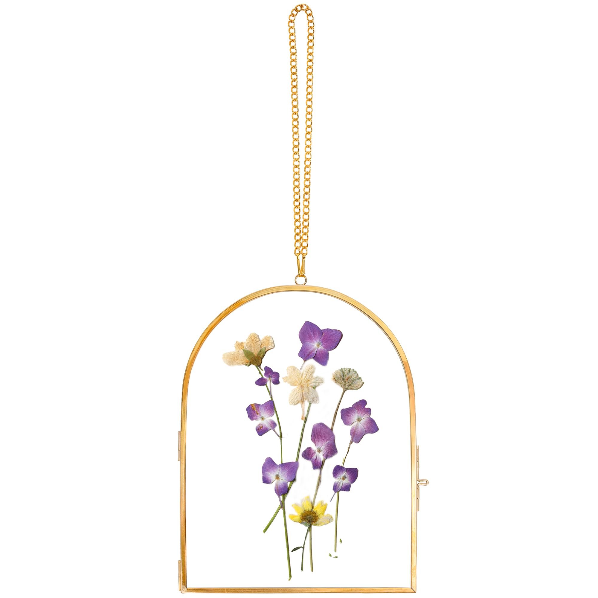 Customizable Size And Shape Double Sides Hanging Glass Frame For Pressed Dried Flowers Plants Or Holding Pictures Wall Decor