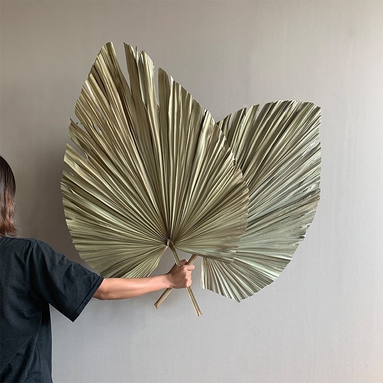 AX42 2023 new arrivals cheap dry candles natural dried flower decorative flowers dried palm leaves wedding decorations