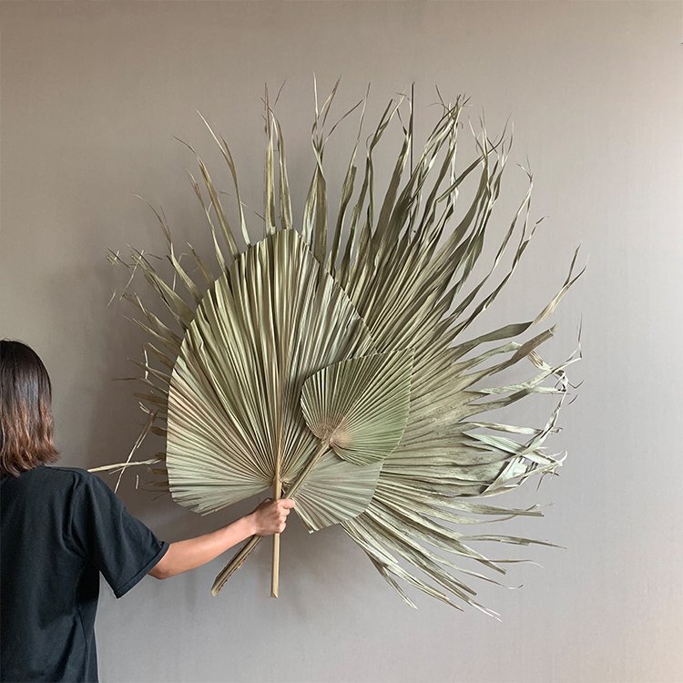 AX42 2023 new arrivals cheap dry candles natural dried flower decorative flowers dried palm leaves wedding decorations