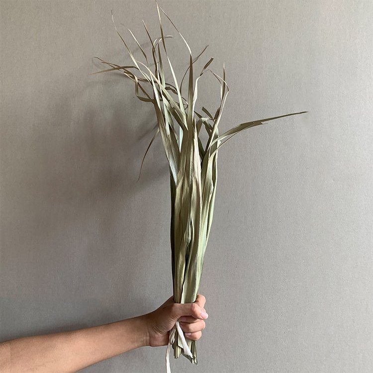 AX42 2023 new arrivals cheap dry candles natural dried flower decorative flowers dried palm leaves wedding decorations