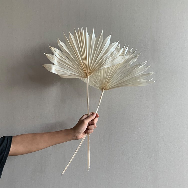 AX42 2023 new arrivals cheap dry candles natural dried flower decorative flowers dried palm leaves wedding decorations