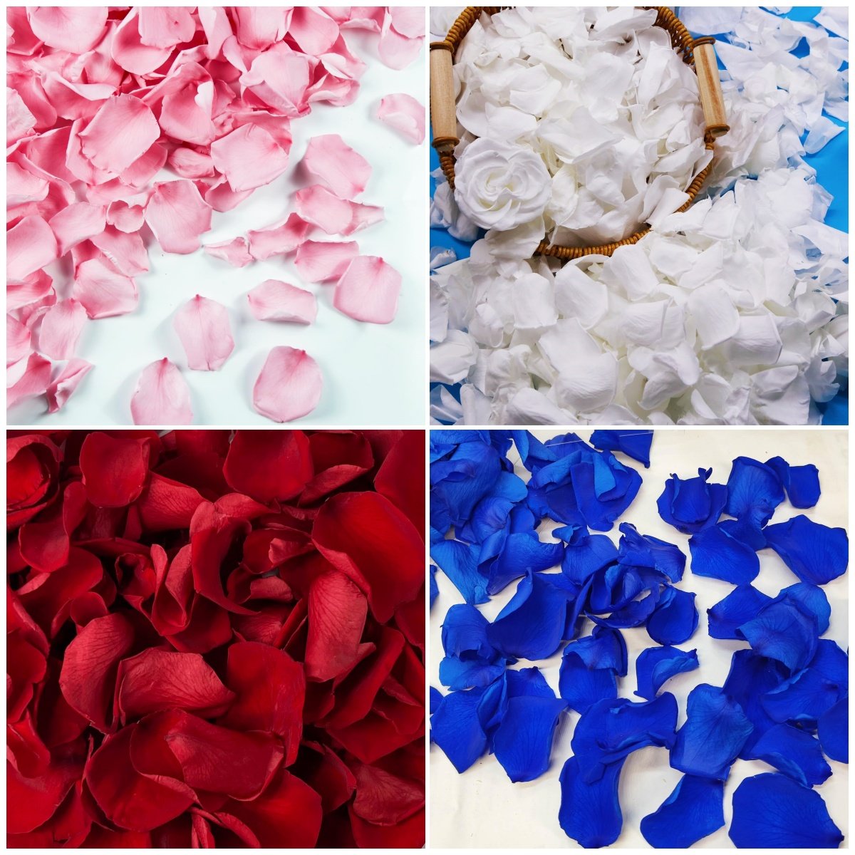 100% Real Red Rose Petals Preserved Red Petals Proposal Decoration Wedding Confetti Flower Girl Party Valentine's Day Gift