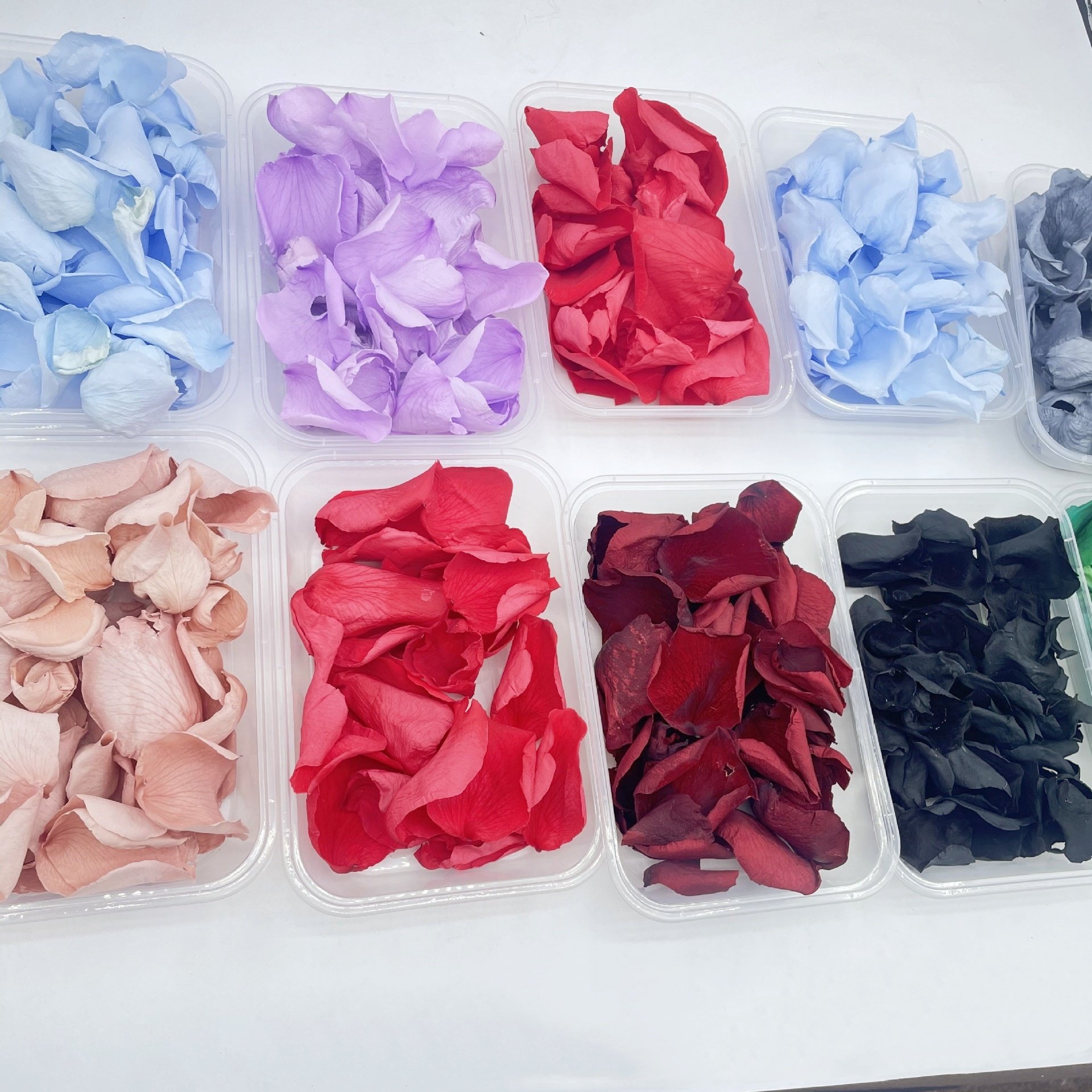 100% Real Red Rose Petals Preserved Red Petals Proposal Decoration Wedding Confetti Flower Girl Party Valentine's Day Gift
