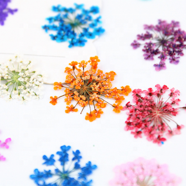 3d Nail Flower Pressed Dry Flowers Nail Art Diy Natural Real Dried Flowers For Nails Decoration Manicure