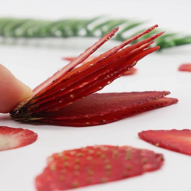 Natural Handmade Dried Pressed Resin Mixed Fruit Slices for DIY Candle Resin Jewelry Nail Pendant