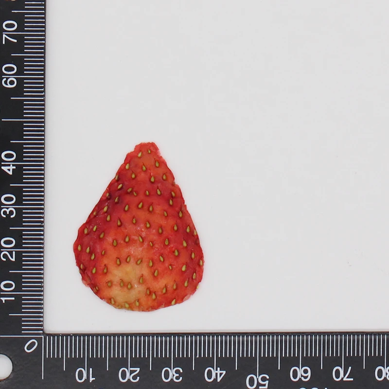 Natural Handmade Dried Pressed Resin Mixed Fruit Slices for DIY Candle Resin Jewelry Nail Pendant