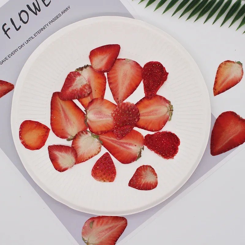 Natural Handmade Dried Pressed Resin Mixed Fruit Slices for DIY Candle Resin Jewelry Nail Pendant