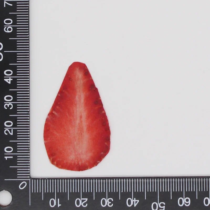 Natural Handmade Dried Pressed Resin Mixed Fruit Slices for DIY Candle Resin Jewelry Nail Pendant