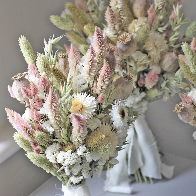 2024 hot selling dried flowers dried oats bunny tails grass green color natural bouquet for decoration DIY