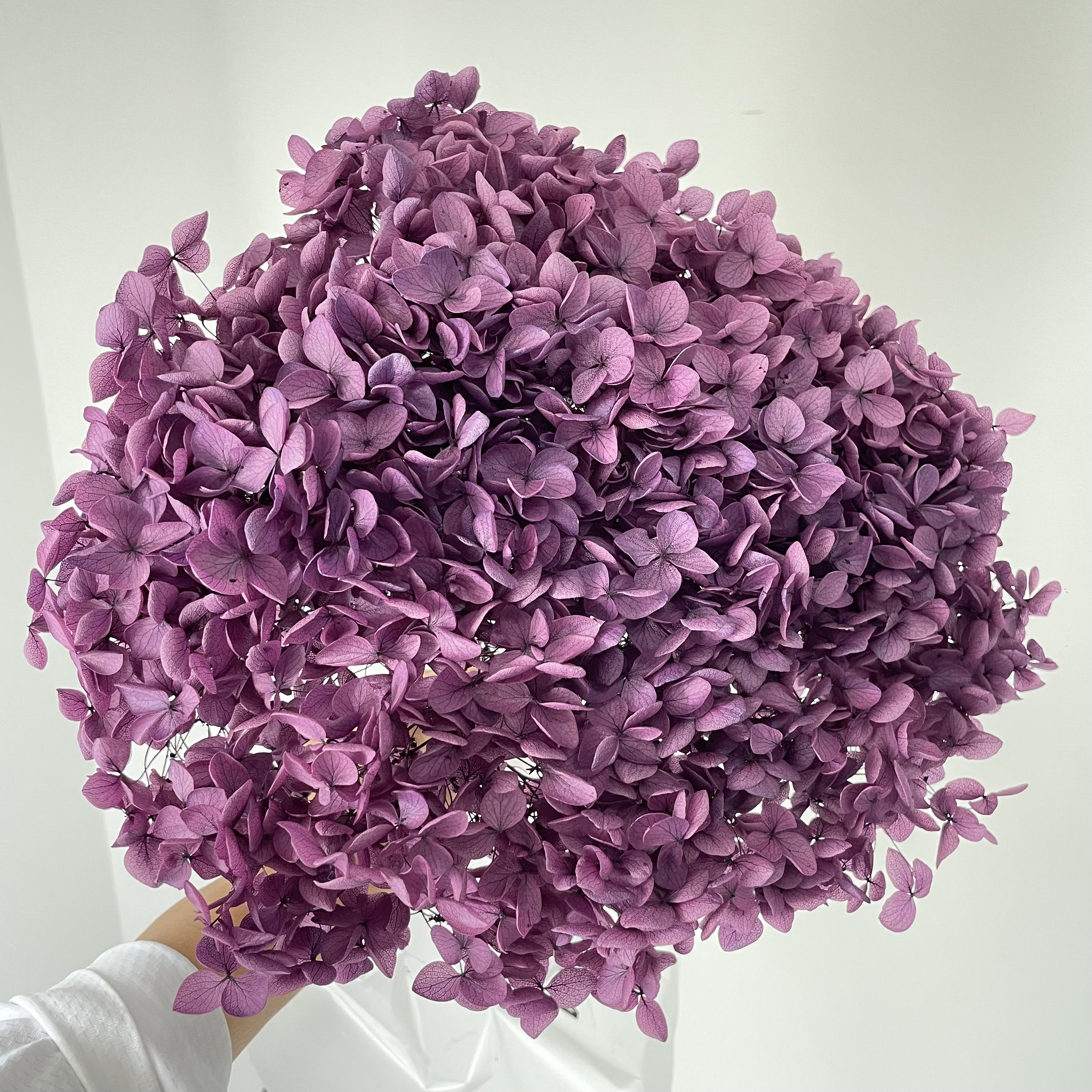 2024 ins most popular real natural purple red blue white green hot pink hydrangea long stem preserved dried hydrangeas flowers