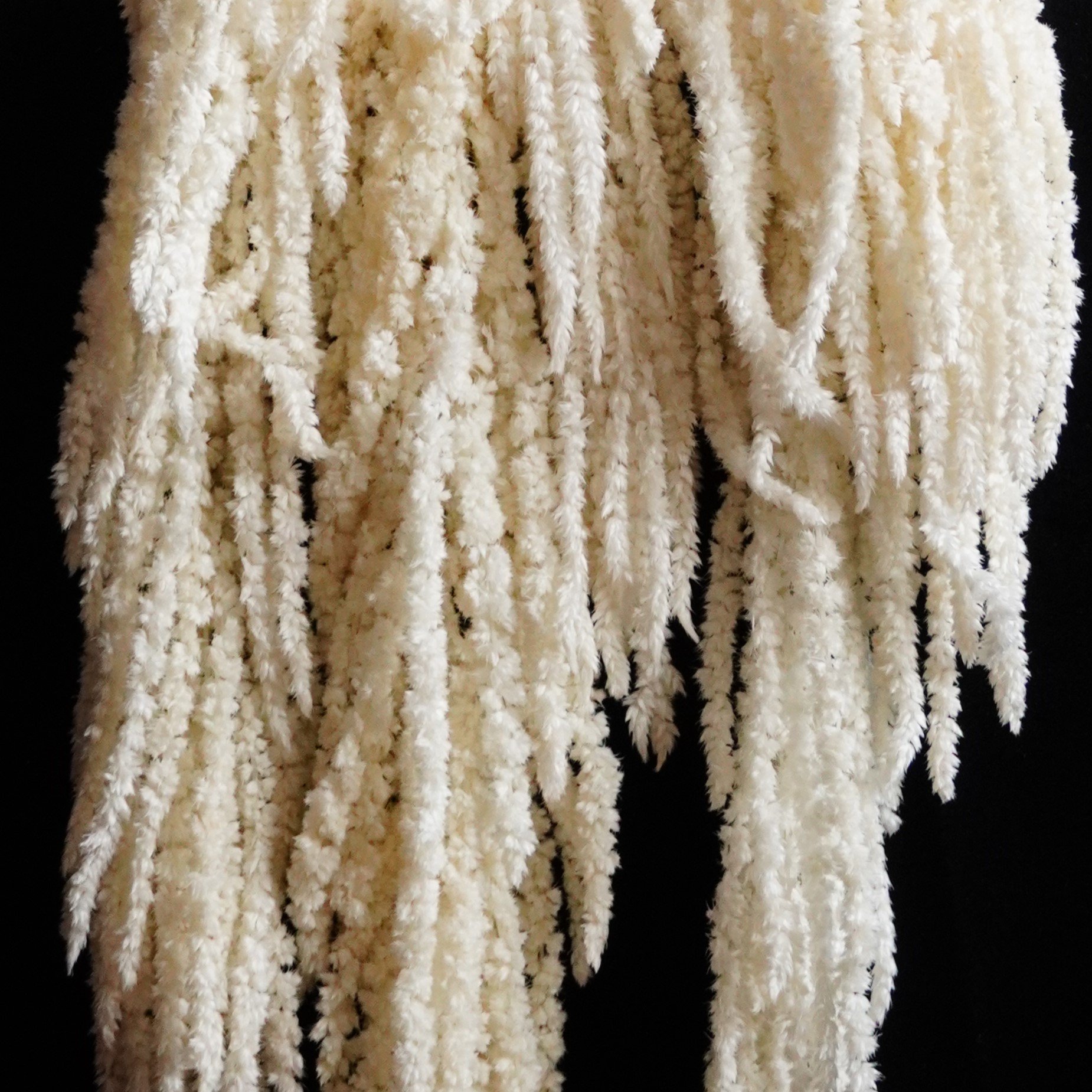 Amaranthus Hanging Preserved, Amaranthus, Hanging Flowers, Wedding Decor, Home Decor, Artwork, Moss Wall, Gift