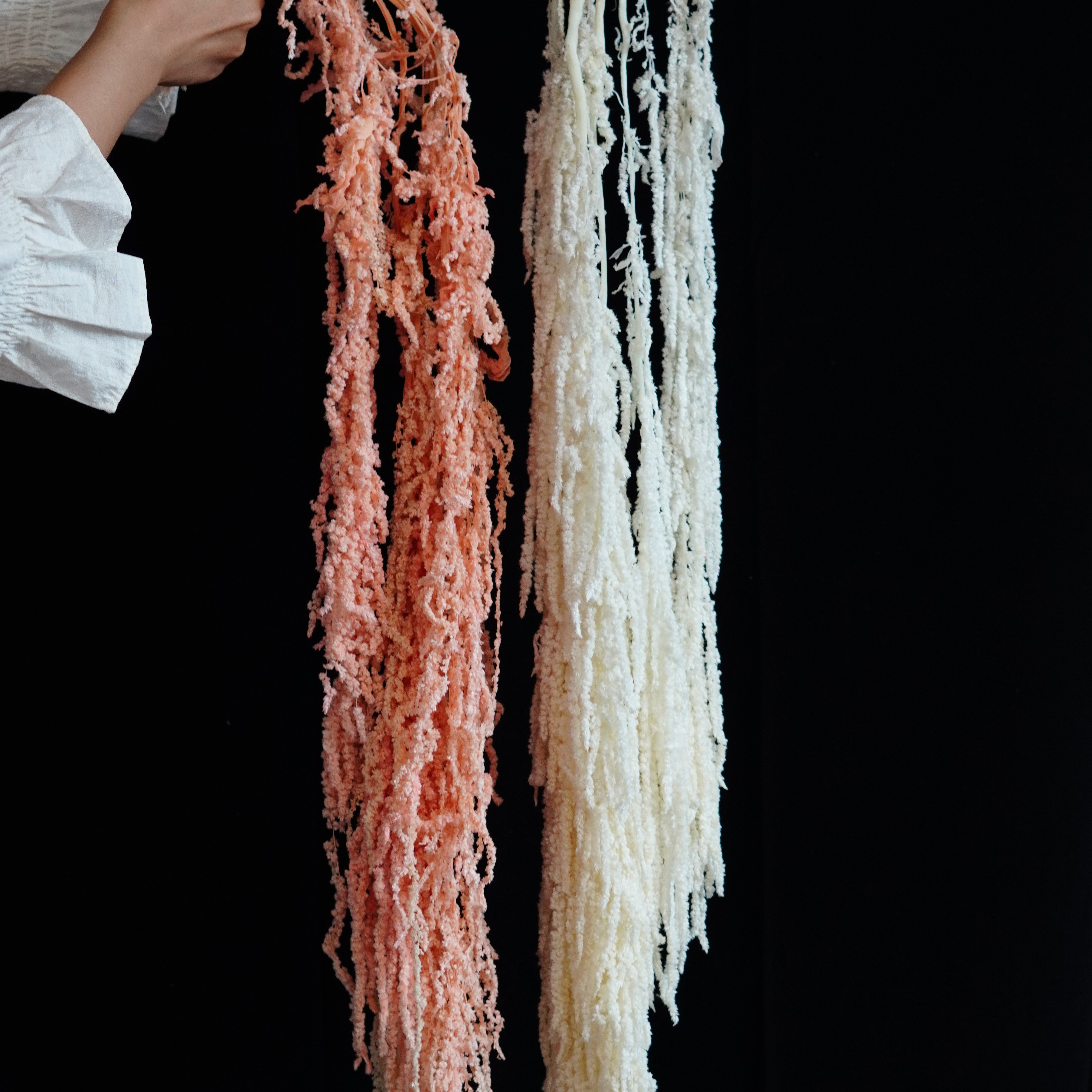 Amaranthus Hanging Preserved, Amaranthus, Hanging Flowers, Wedding Decor, Home Decor, Artwork, Moss Wall, Gift
