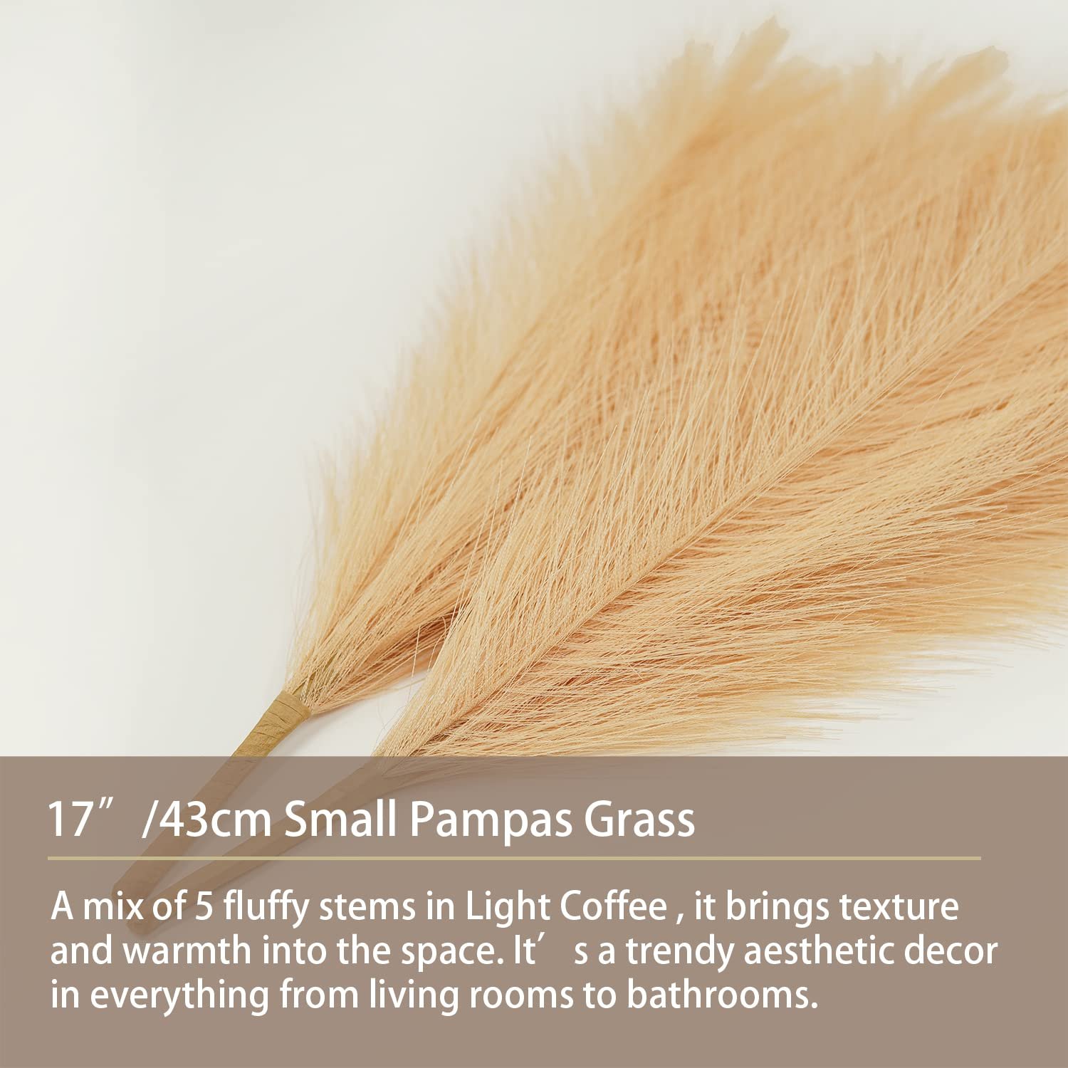 Hot selling DIY flower decor bulrush reed grass filler home wedding decor pampas grass dried flowers dried pampas grass