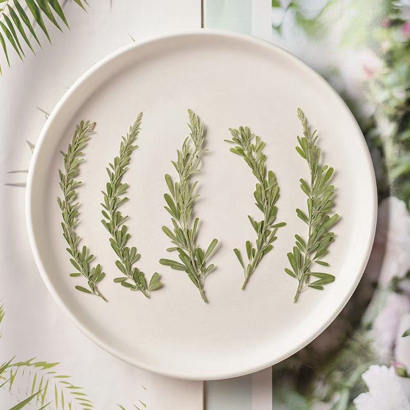 MNR2177 natural color dried small leaves for flower arrangement DIY photo