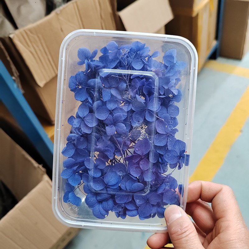 wholesale preserved hydrangea Flowers Aromatherapy Candle DIY Materials dried pressed flowers for resin art and nail decoration
