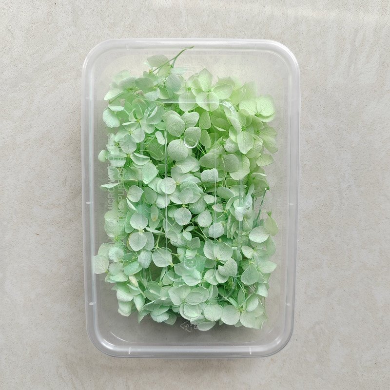wholesale preserved hydrangea Flowers Aromatherapy Candle DIY Materials dried pressed flowers for resin art and nail decoration