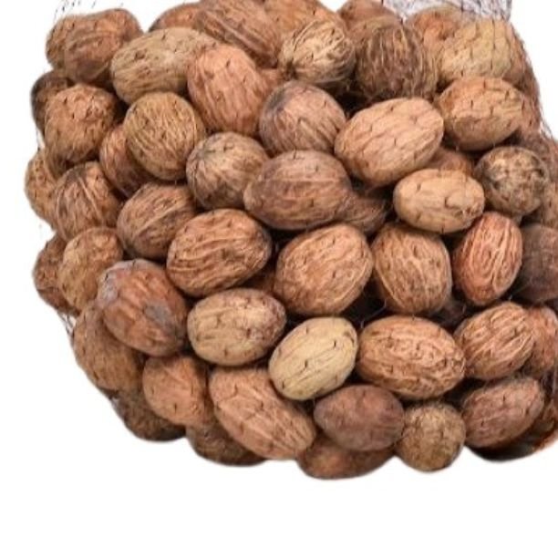 High Quality Wholesale Natural Amra Pod Potpourri Vase Fillers Exotic Dried Flower Decor for Home Event