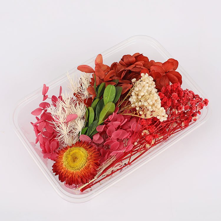 Hot Sale Boxed Preserved Flower for Gift Dried Rose Eternal Flower for Candle Decor Real Dried Flower for Valentine day