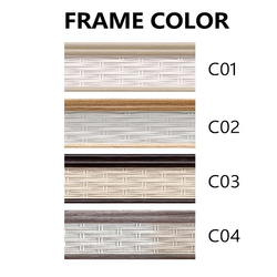 C03