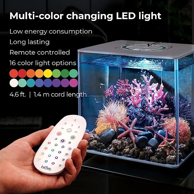 Kinho Wholesale Transparent Eco-friendly Lifegard Aquatics 10 Gallon Rimless Clear Glass Aquarium 5mm