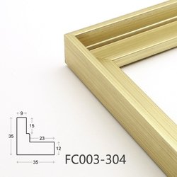 FC003-304