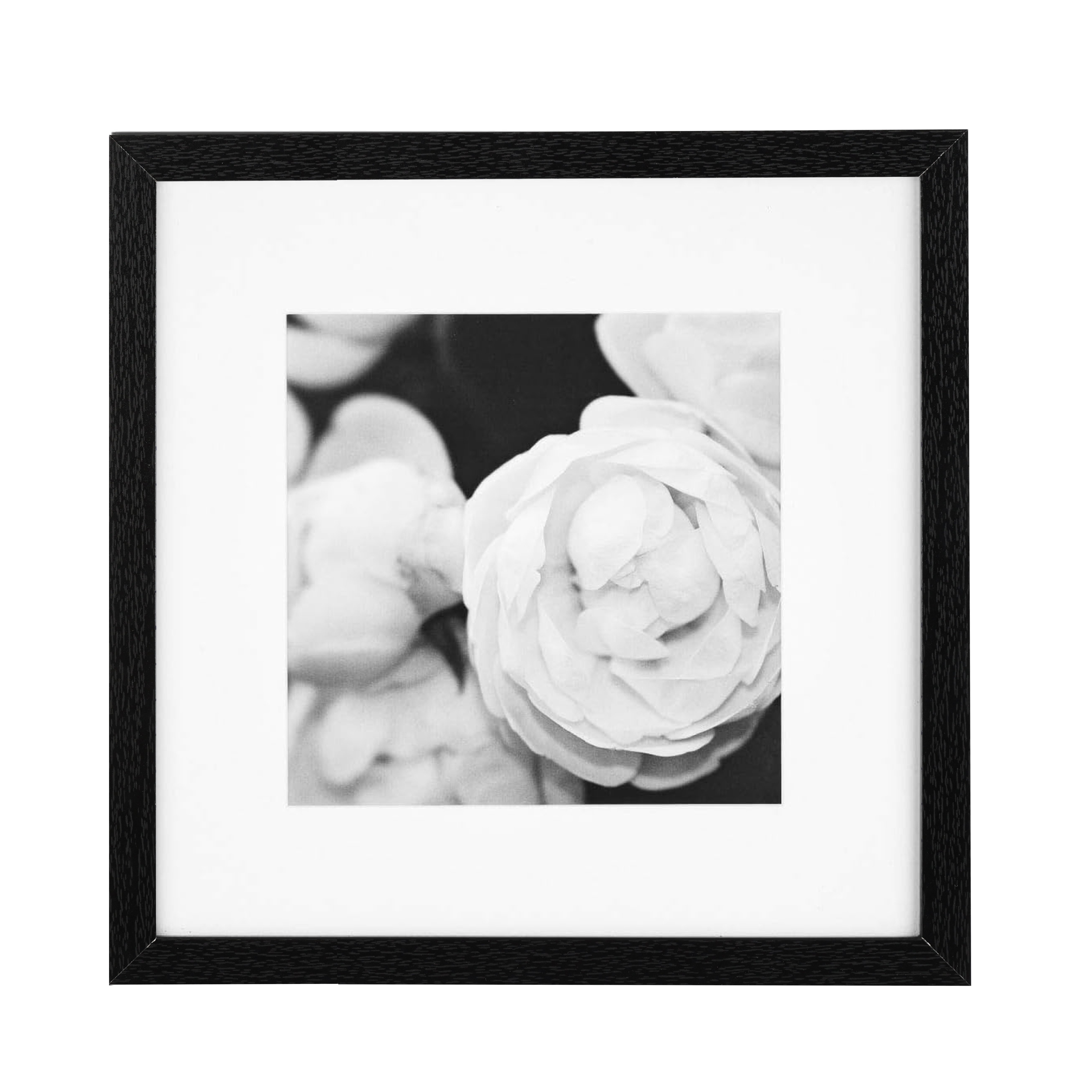 Home Decorative Wall Gallery Hanging Square 12x12 Picture Frame Wall Gallery Frame Set With 8x8 Mat