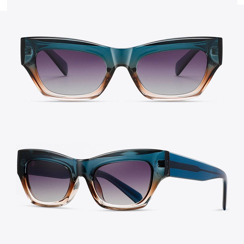 DL GLASSES 2024 Trendy Glasses Cat Eye Eyewear Red Tortoise Acetate Frames TR Legs Polarized Fashion Sunglasses Custom For Women