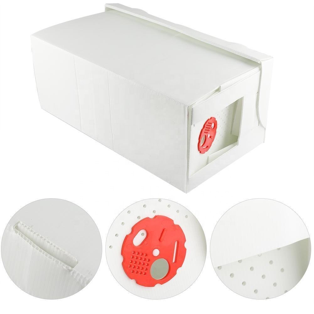 5 Frame Corflute Plastic Nuc Beehive 4mm Foldable Nuc Bee Hive Box with Cutting and Moulding Services for Beekeeping