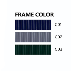 C01