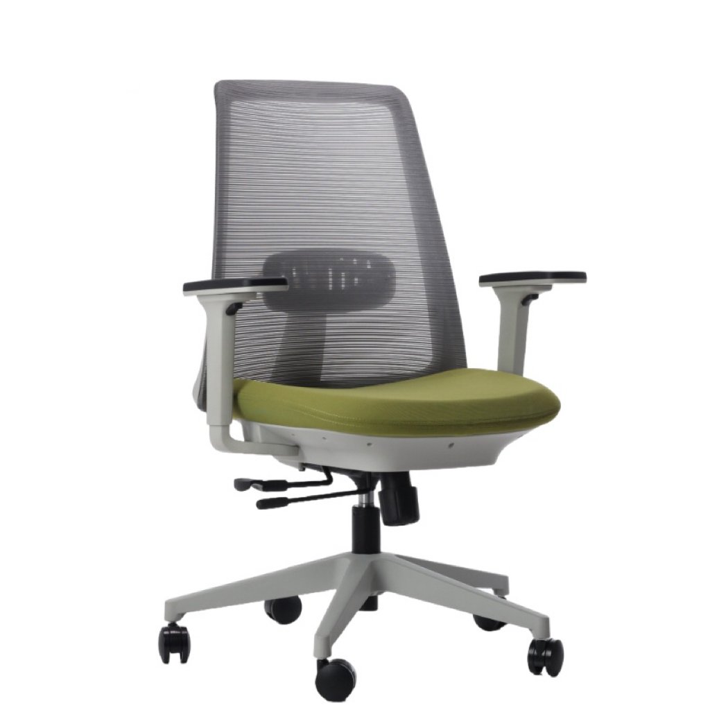 Ergonomic Office Chair Mid Back Swivel 4D Armrest Seat Slider Good For Body Alignment Chair