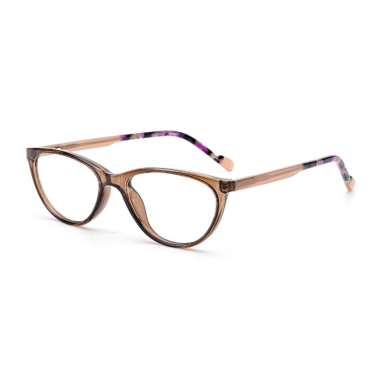 2024 Designer's Latest Model 10% off Sale RY-9801 Two-Tone High-End TR90 Optical Eyeglass Frames