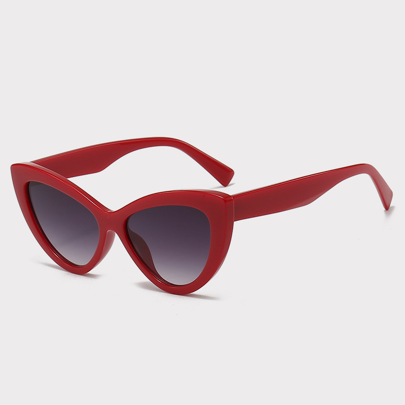 sunglasses 2024 fashion Luxury Cat Eye Designer Sunglasses UV400 Optics Custom Logo Unisex PC Frame for Men and Women sunglasses