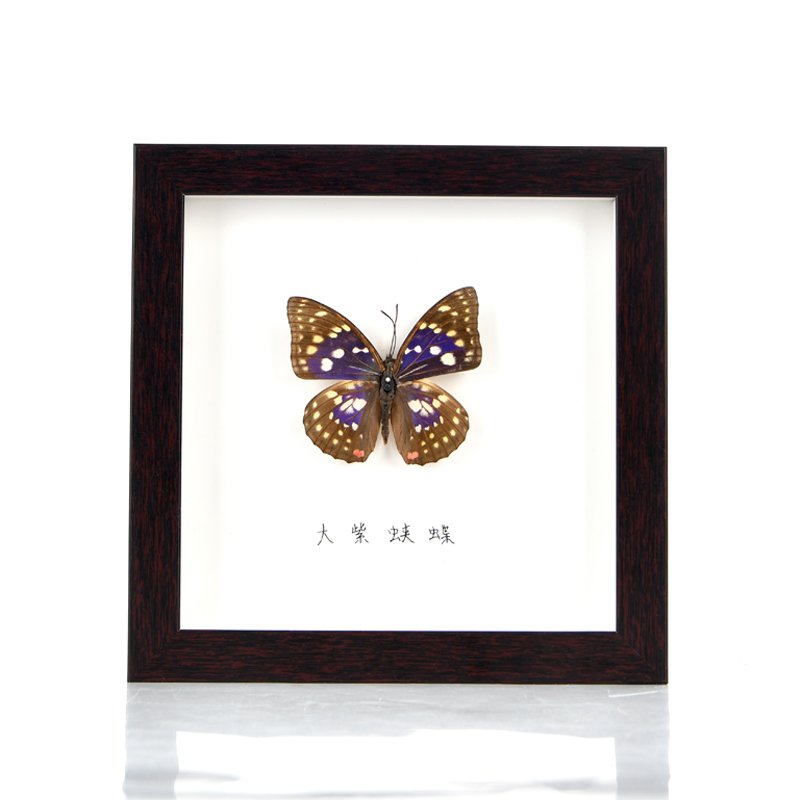 Deep Shadow Box Frame Dried Butterflies Box Frames Wholesale Shadow Box Supplies Photo Frame Moulding