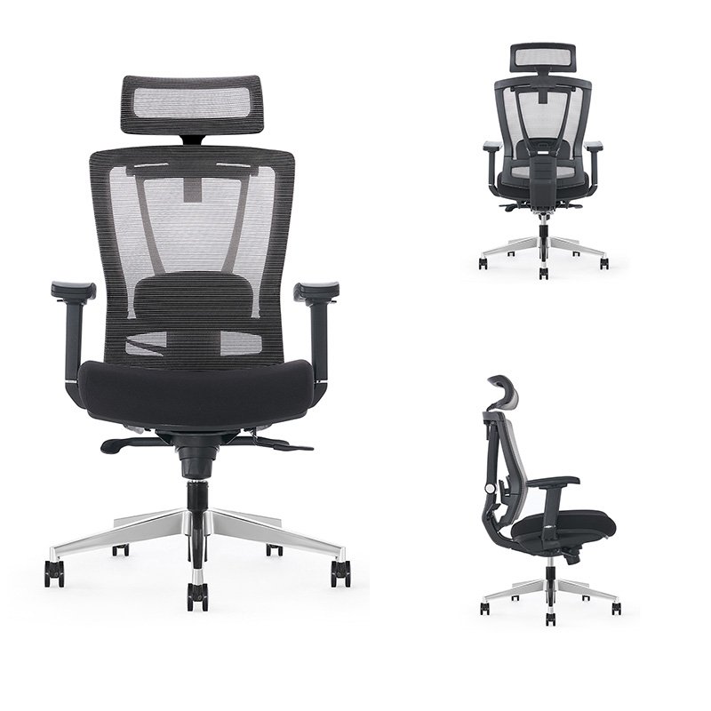 Ergochair Pro Modern Furniture 4D Armrest Executive Office Boss Ergonomic Mesh Chair With Lumbar Support