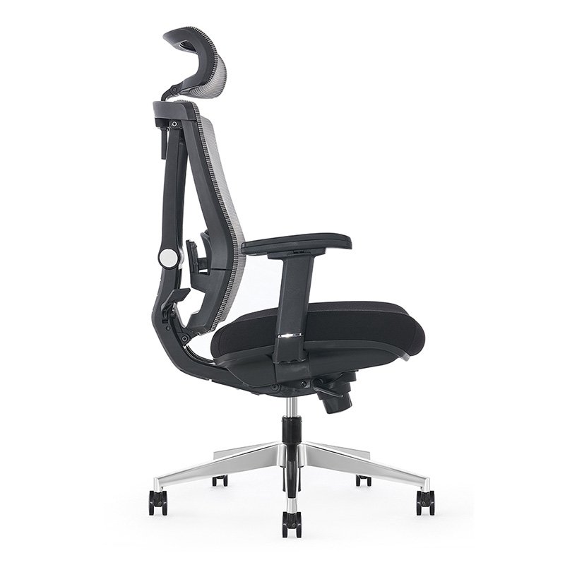 Ergochair Pro Modern Furniture 4D Armrest Executive Office Boss Ergonomic Mesh Chair With Lumbar Support