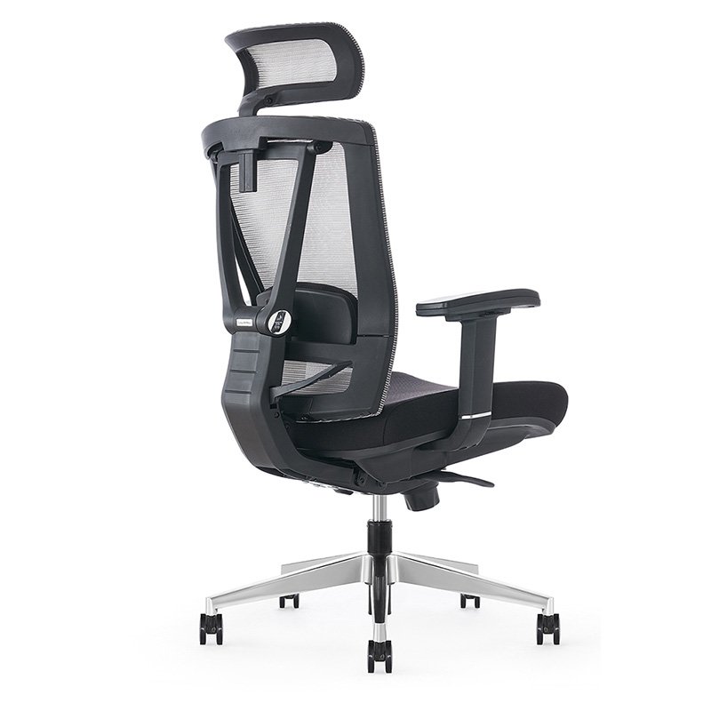Ergochair Pro Modern Furniture 4D Armrest Executive Office Boss Ergonomic Mesh Chair With Lumbar Support