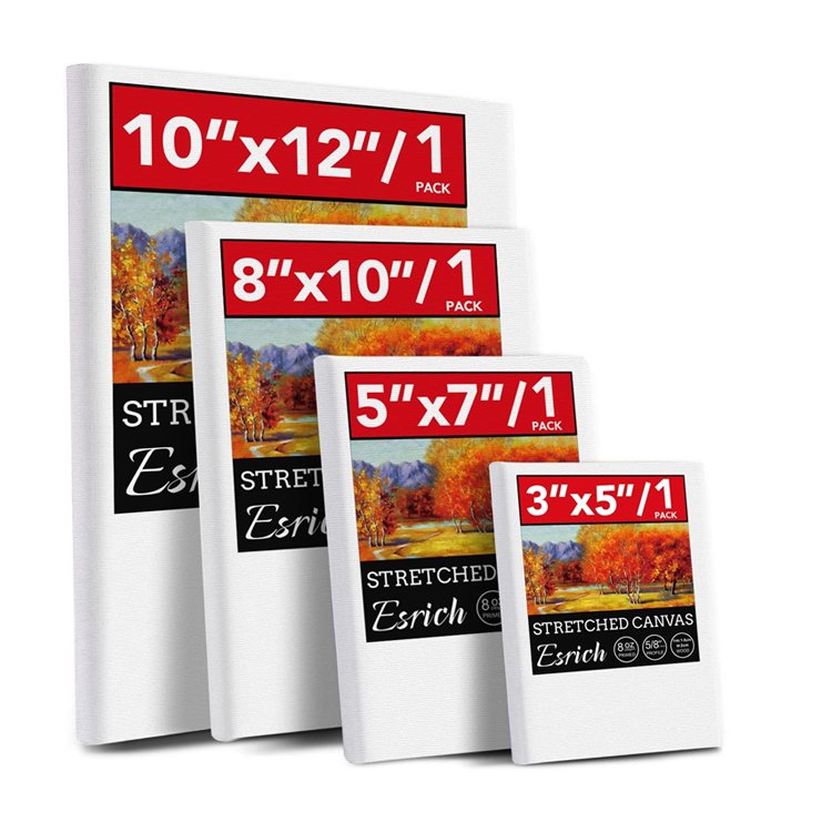 2024 new Factory good quality wall art deco wood painting blank canvas panel with custom floating floater canvas wooden frame