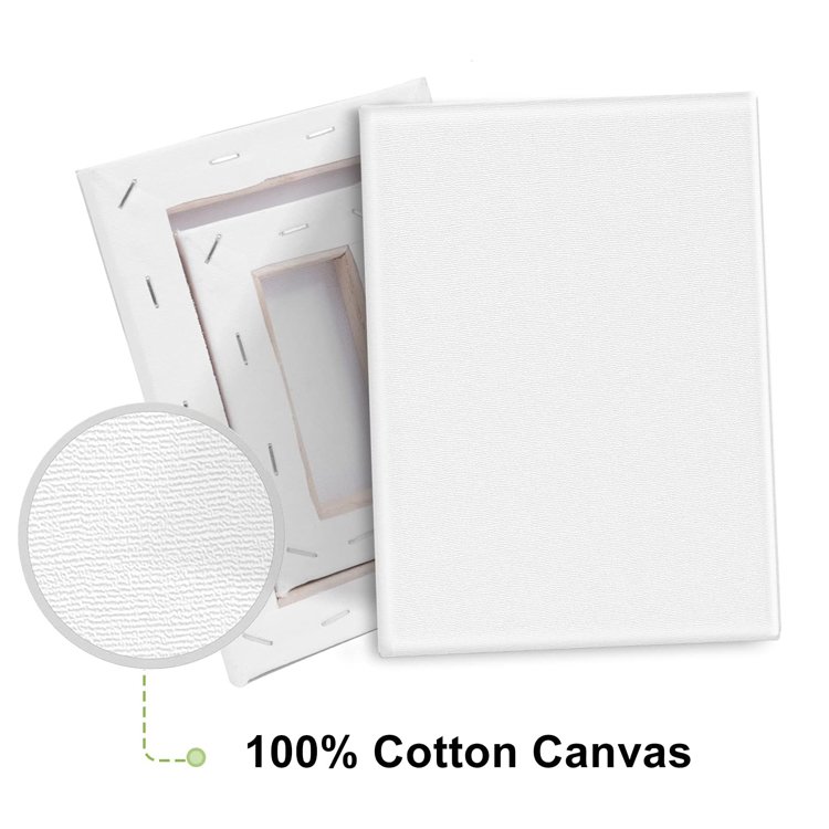 2024 new Factory good quality wall art deco wood painting blank canvas panel with custom floating floater canvas wooden frame