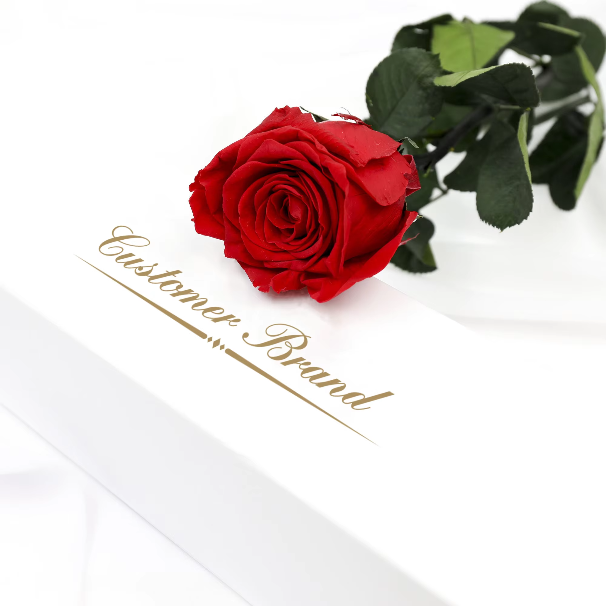 2025 Hot Popular Home decoration Luxury single immortal flower preserved rose with stem in gift box customization logo