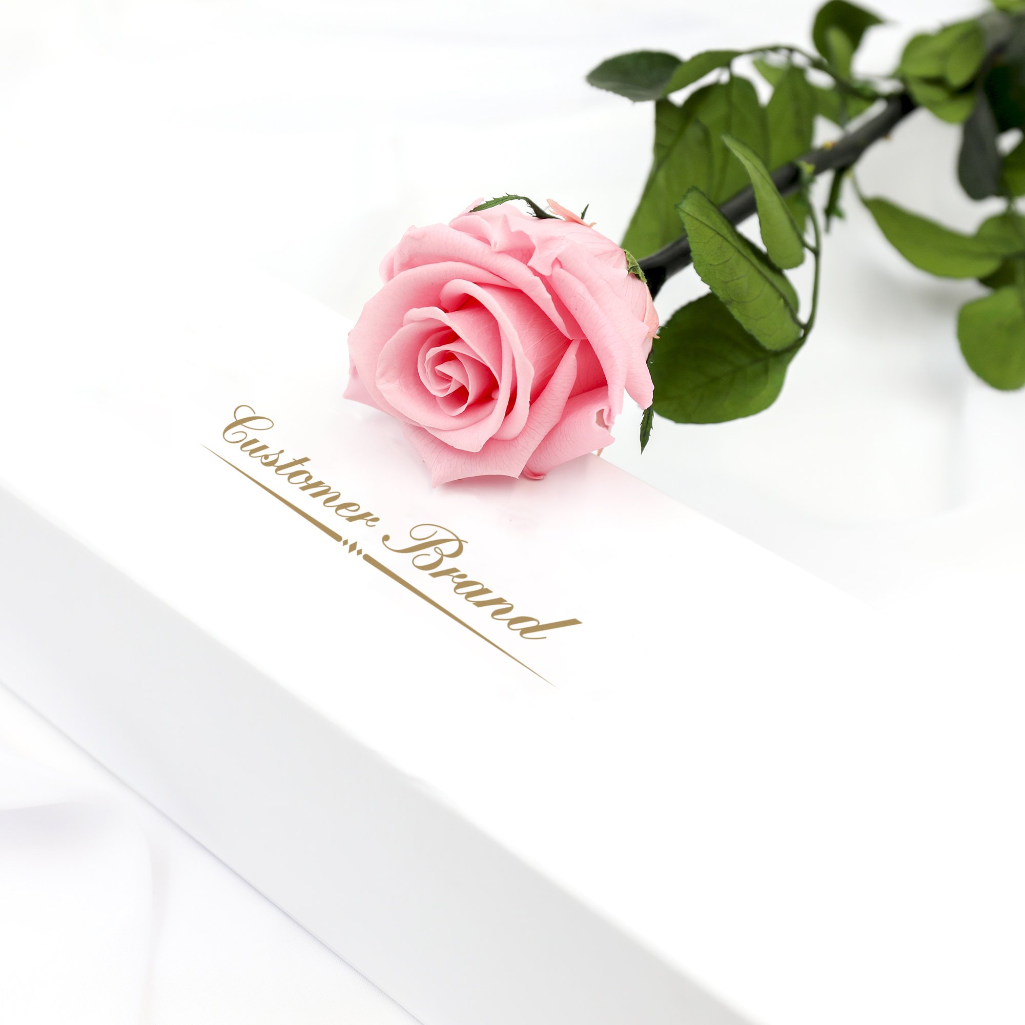2025 Hot Popular Home decoration Luxury single immortal flower preserved rose with stem in gift box customization logo