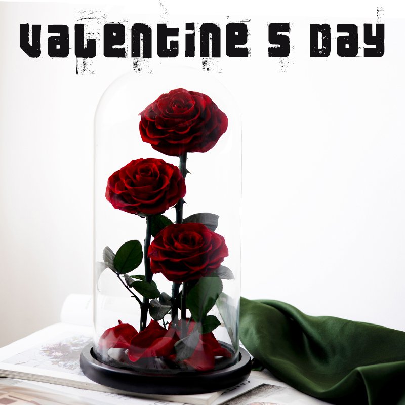 Life After Life Series Preserved Flower Ornaments For Girl friend's Gift Valentine's Day Wedding Decoration flowers
