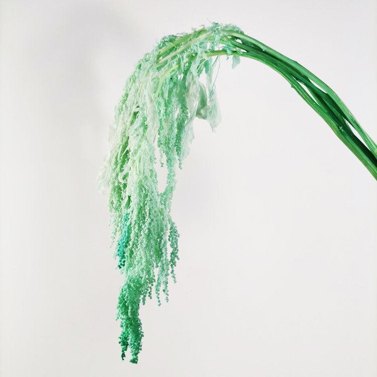 summer flora Hot selling real touch flower material home decoration preserved flower hanging amaranthus