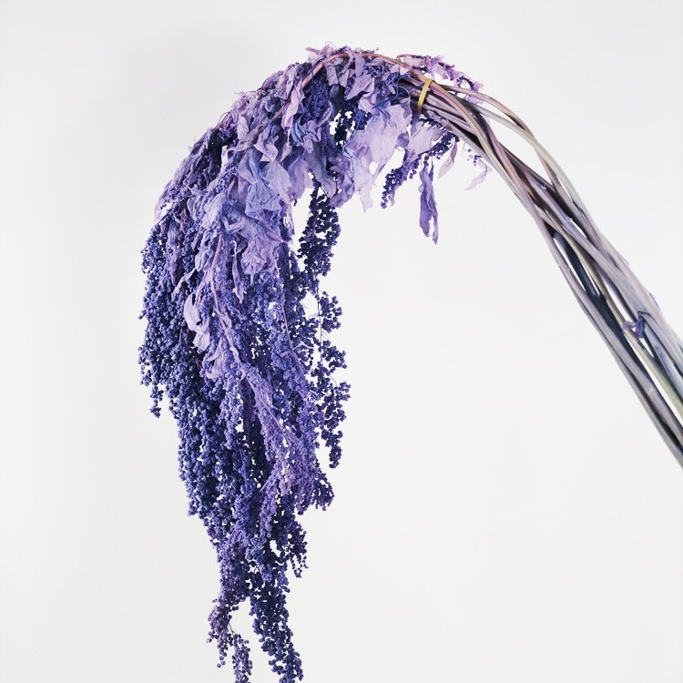 summer flora Hot selling real touch flower material home decoration preserved flower hanging amaranthus