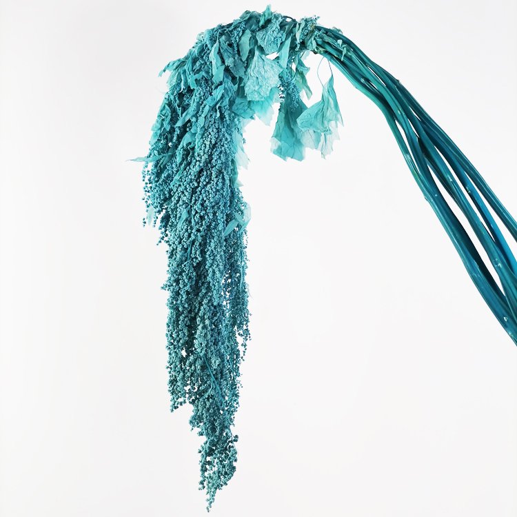 summer flora Hot selling real touch flower material home decoration preserved flower hanging amaranthus