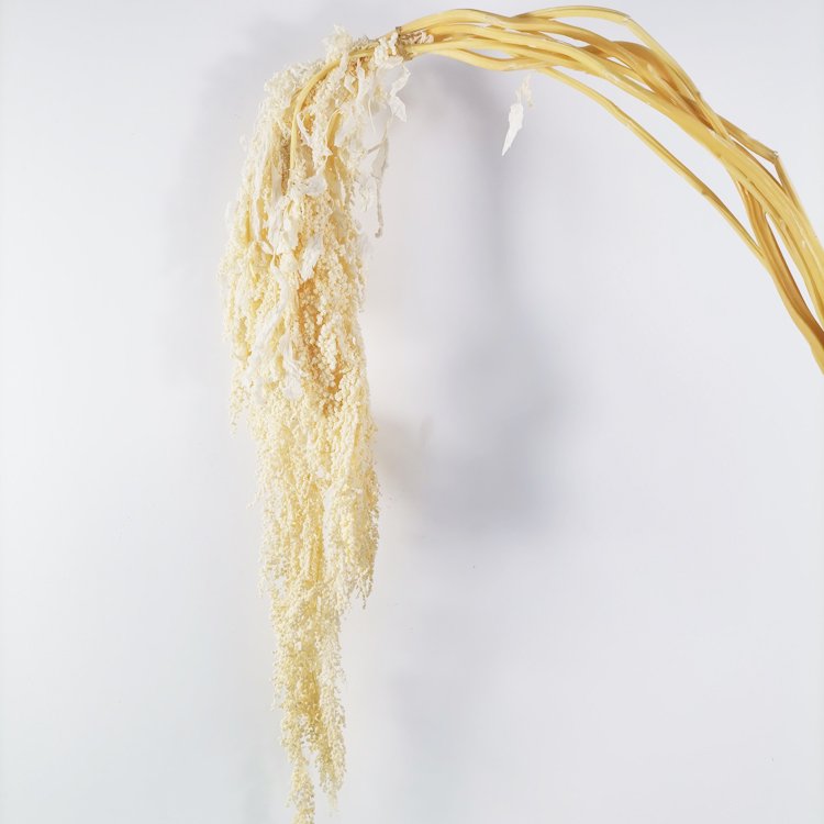 summer flora Hot selling real touch flower material home decoration preserved flower hanging amaranthus