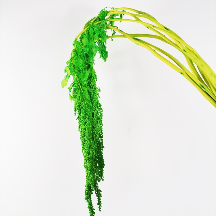 summer flora Hot selling real touch flower material home decoration preserved flower hanging amaranthus